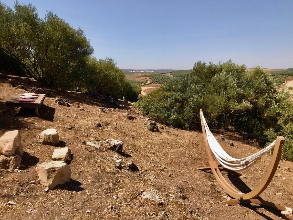 Room In Villa - Beautiful Accommodation At The Heart Of Andalusia Puente Genil Luaran gambar