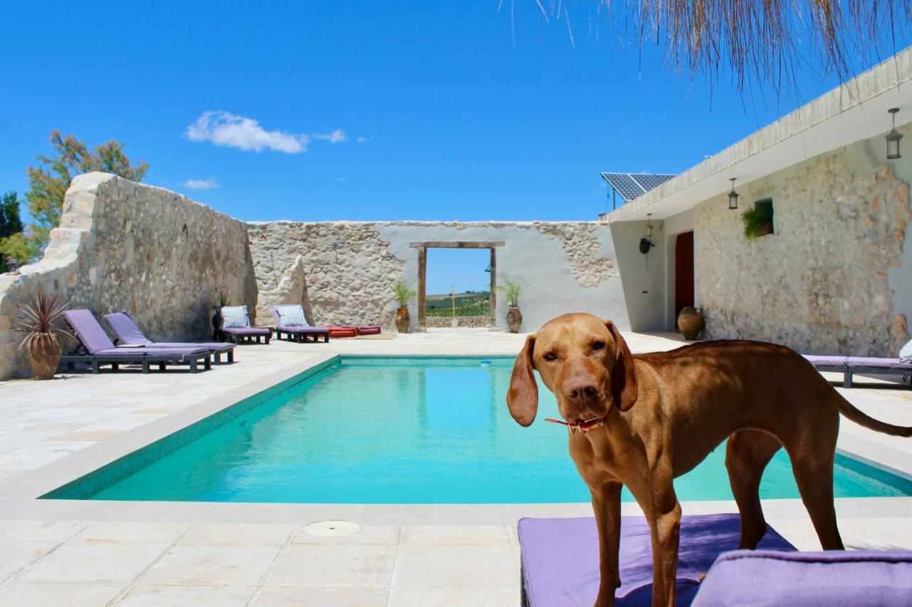 Room In Villa - Beautiful Accommodation At The Heart Of Andalusia Puente Genil Luaran gambar